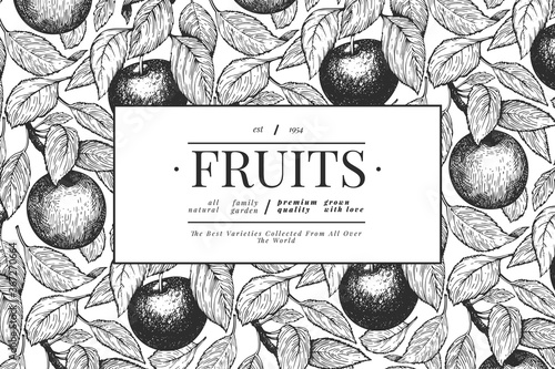 Apple branches design template. Hand drawn vector garden fruit illustration. Engraved style fruit frame. Vintage botanical banner.