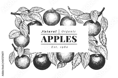 Apple branches design template. Hand drawn vector garden fruit illustration. Engraved style fruit frame. Vintage botanical banner.