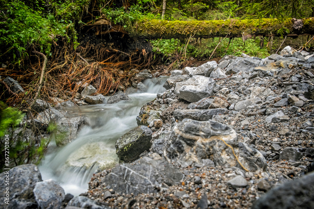 Water stream in Demanovska valley in Low Tatras, Slovakia, hiking theme Water stream in Demanovska valley in Low Tatras, Slovakia, hiking theme