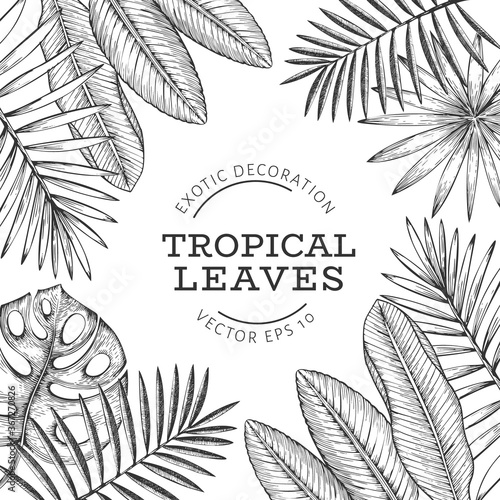 Tropical plants banner design. Hand drawn tropical summer exotic leaves illustration. Jungle leaves, palm leaves engraved style. Vintage background design