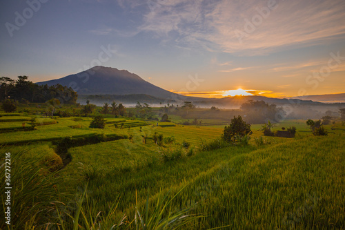 Beautiful landscape during sunrise. Rice paddies with Agung Volcano on the background. Scenic panoramic view. Sunlight on the horizon. Bali, Indonesia