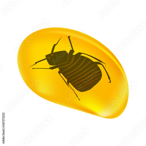Insects in a drop of amber isolated on white background. Fossilised tree resin. Ancient amber midge inclusion. Piece of amber with a flea inside. Stone with a prehistoric insect. Stock vector