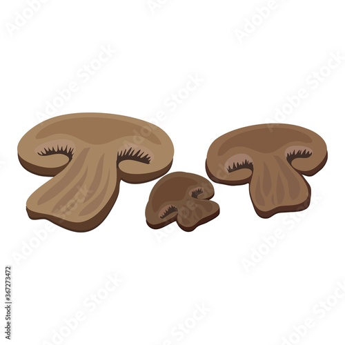 Burger mushrooms icon. Cartoon of burger mushrooms vector icon for web design isolated on white background
