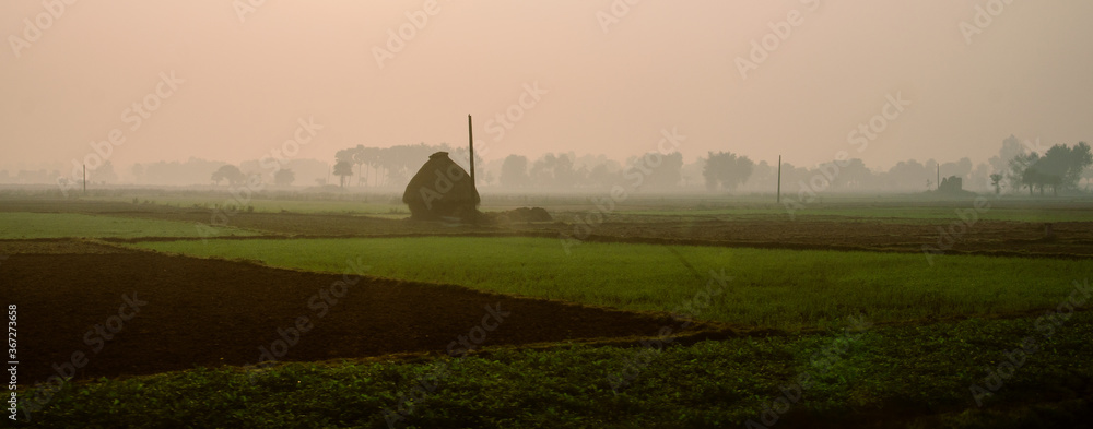 rural morning scene