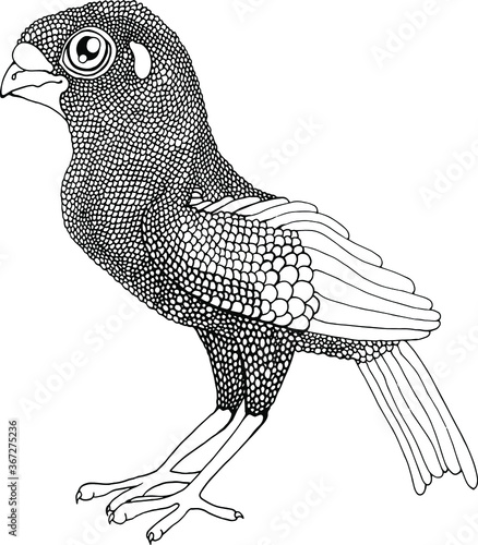 hand drawn vector illustration of a cartoon bird