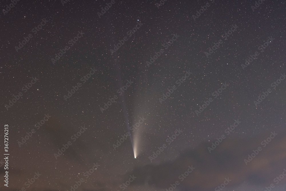Fototapeta premium Comet C/2020 F3 NEOWISE