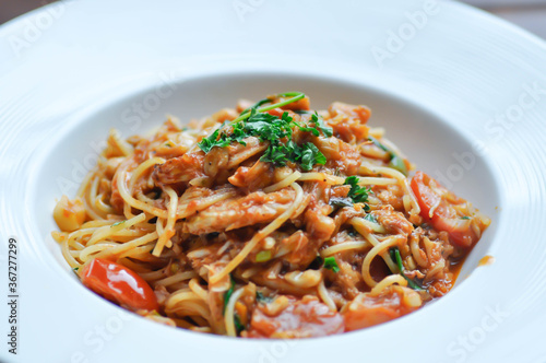spaghetti or shell spaghetti ,pasta