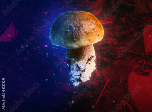 Magic mushrooms on a colored neon background.
