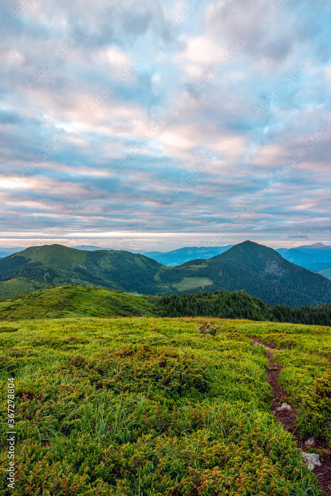 Fototapeta premium Mountains landscape, scenic wild nature at highlands, Carpathians