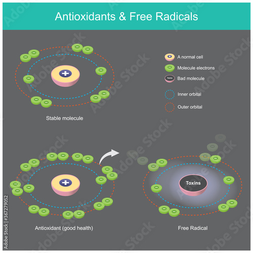 Antioxidants & Radicals. Diagram explain how antioxidants molecule work trap toxic substance in human body..