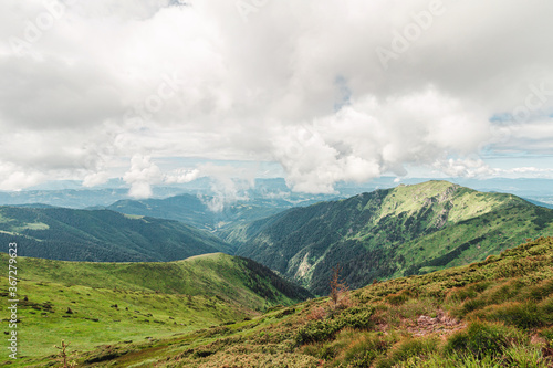 Landscape of wild nature in the mountains, scenic highland Carpathians