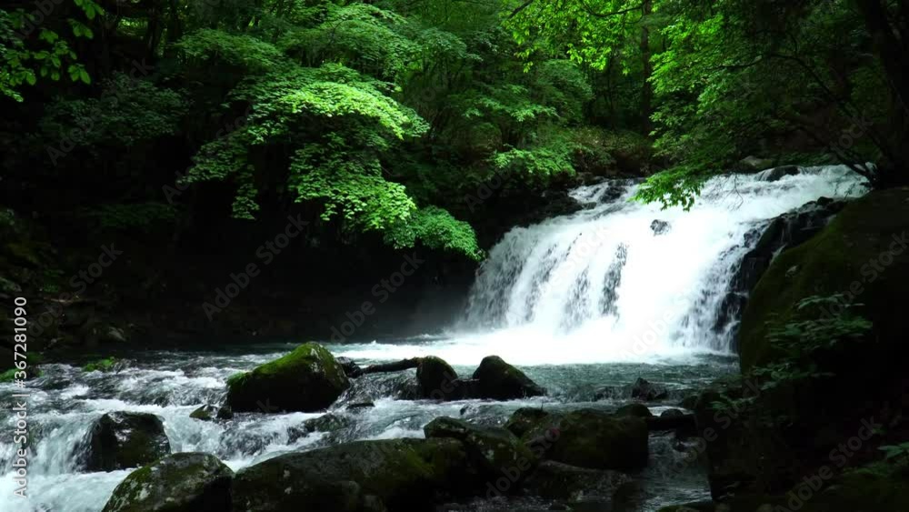 夏の蓼科大滝 夏の蓼科大滝