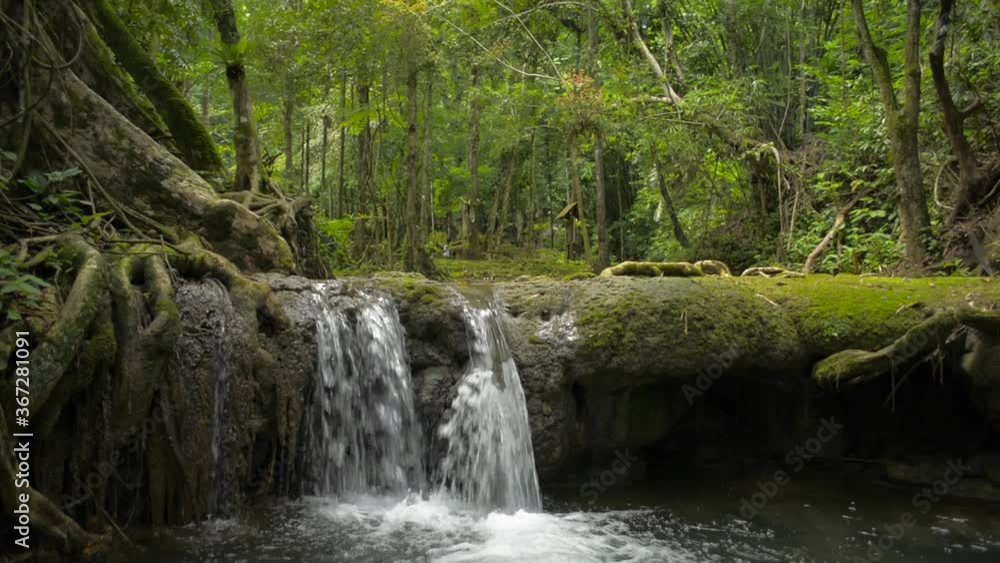 Lifting shot of beautiful scenery of small waterfall that flowing from the jungle through the green plants into the natural pond. Green summer in tropical rain forest. Sa Nang Manora forest park. Lifting shot of beautiful scenery of small waterfall that flowing from the jungle through the green plants into the natural pond. Green summer in tropical rain forest. Sa Nang Manora forest park.