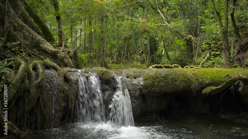 Lifting shot of beautiful scenery of small waterfall that flowing from the jungle through the green plants into the natural pond. Green summer in tropical rain forest. Sa Nang Manora forest park. 