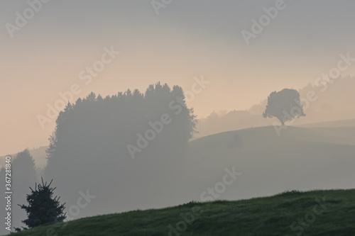 Landschaft im Morgengrauen photo