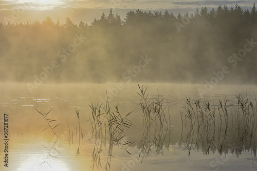 Foto Morgenstimmung mit Nebel