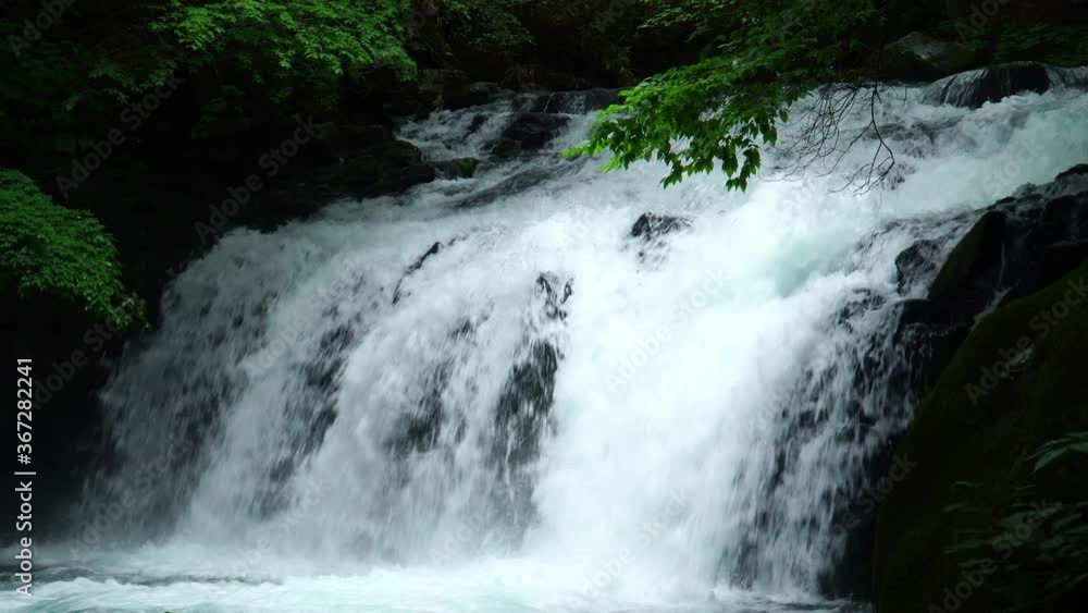 夏の蓼科大滝 夏の蓼科大滝
