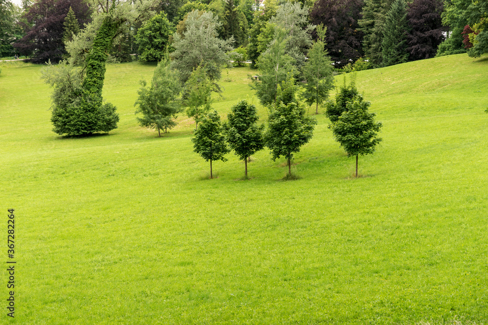 Park with lawn and trees. Natural background Park with lawn and trees. Natural background
