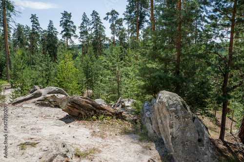 summer, day, walk, nature, sky, clouds, space, height, distance, forest, trees, pines, green, crowns, foliage, grass, elevation, slopes, earth, shapeless, stone, boulders, blocks, moss, light, shadow
