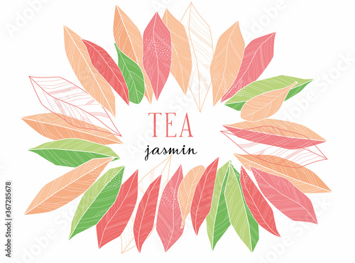 Jasmine tea Unique spelling and painted red, orange and green leaves. Vector hand drawing