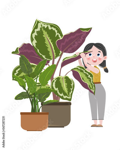 A cute girl in jeans and a fashionable T-shirt tends indoor plants in ceramic pots. Dieffenbachia in a ceramic pot. Hobby. Vector children's illustration.