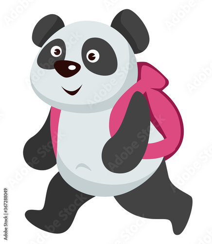 Fototapeta Naklejka Na Ścianę i Meble -  Small panda animal walking with backpack to school