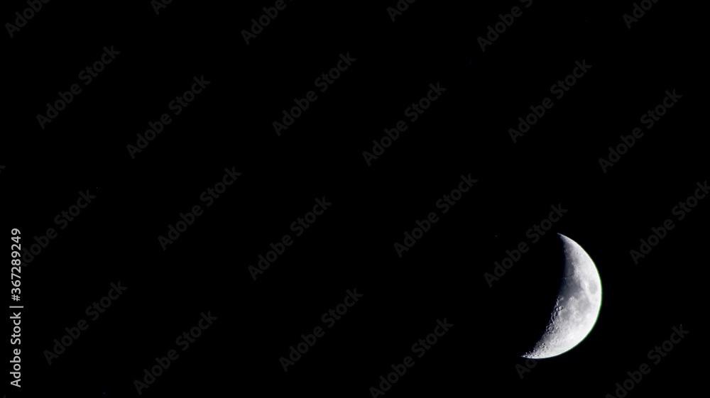 moon moon