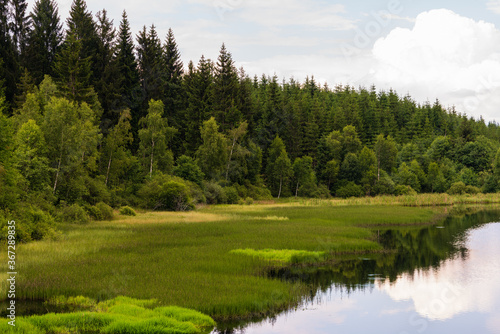 Naturschutzgebiet Tannermoor im Mühlviertel Oberösterreich