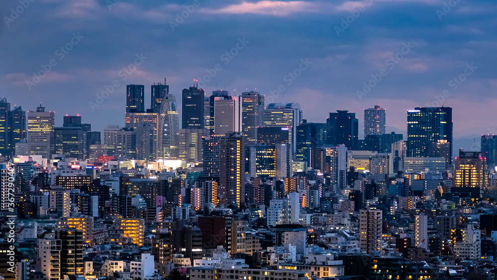 東京 文京シビックセンター 展望ラウンジからの景色 新宿方面 曇天の夜景