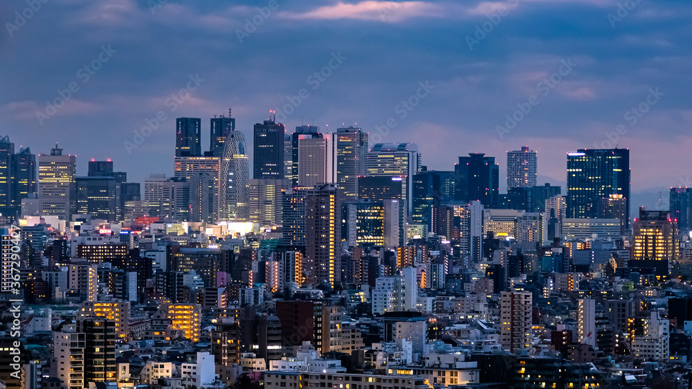 Fototapeta premium 東京 文京シビックセンター 展望ラウンジからの景色 新宿方面 曇天の夜景