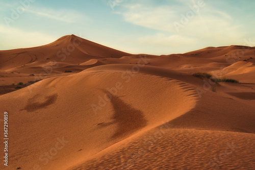 sahara desert morocco. Desierto en Marruecos