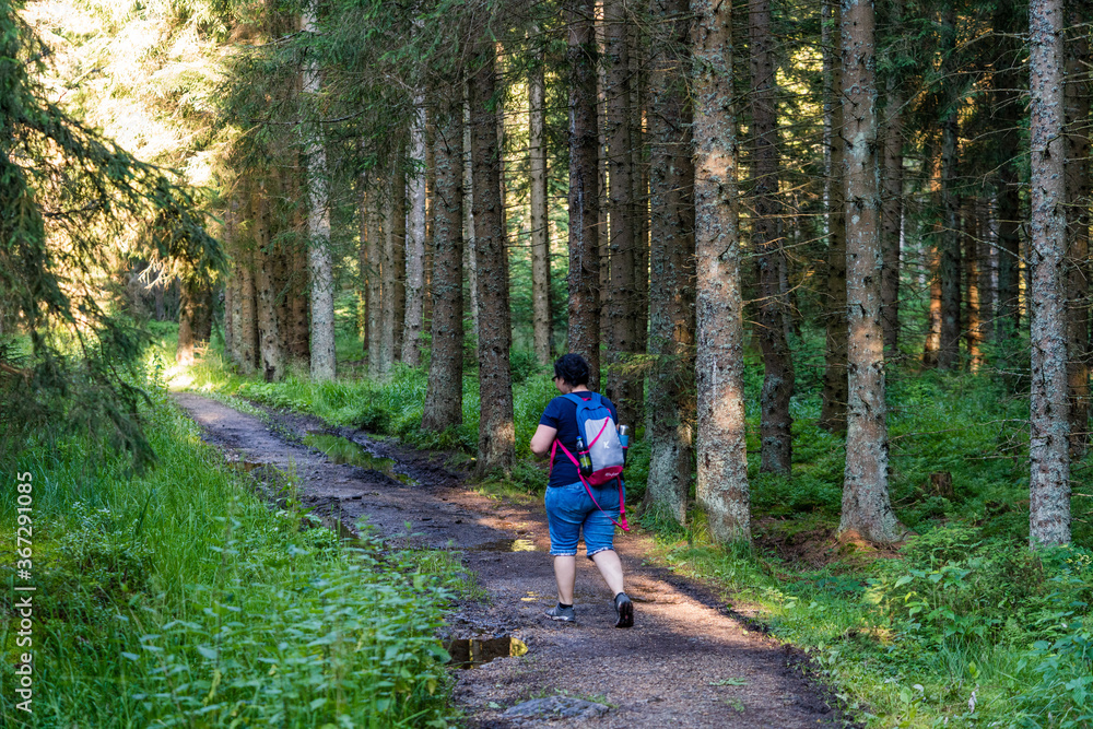 Fototapeta premium Naturschutzgebiet Tannermoor im Mühlviertel Oberösterreich mit Wanderer