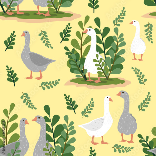 Seamless background with domestic birds. White and gray geese in the poultry yard. Pets on the farm. Cute vector cartoon illustration for children.