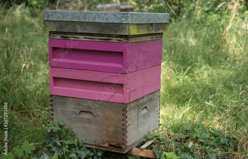 Pink Bee Hive in an Orchard in Rural Devon, England, UK