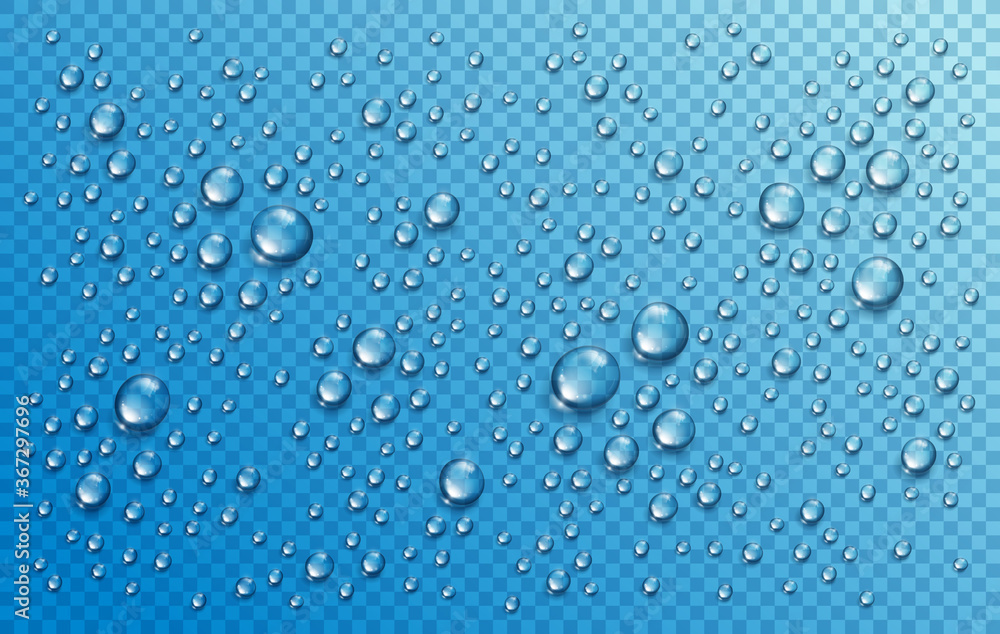 Water rain drops or condensation in shower realistic transparent 3d vector composition over transparency checker grid, easy to put over any background or use droplets separately.