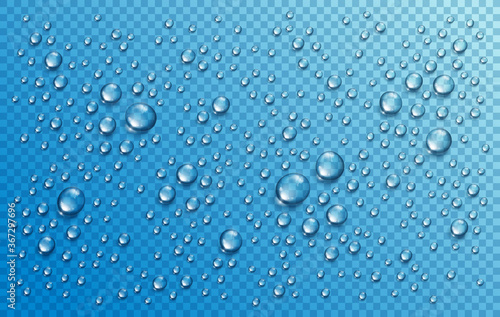 Water rain drops or condensation in shower realistic transparent 3d vector composition over transparency checker grid, easy to put over any background or use droplets separately.