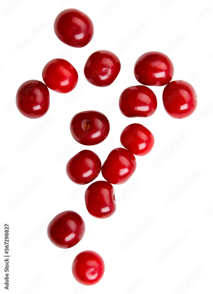 summer harvest of cherry isolated on white background. Summer Fruits. Sweet summer mood. Cherry berries on white background. Mock up for natural ptoduct.July color. Eco natural health dessert summer harvest of cherry isolated on white background. Summer Fruits. Sweet summer mood. Cherry berries on white background. Mock up for natural ptoduct.July color. Eco natural health dessert
