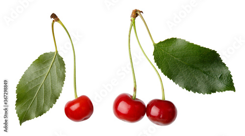 summer harvest of cherry isolated on white background. Summer Fruits. Sweet summer mood. Cherry berries on white background. Mock up for natural ptoduct.July color. Eco natural health dessert