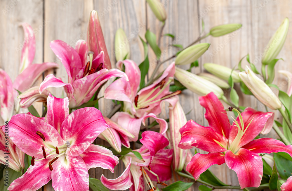 Beautiful, red Lily flowers, scattered on a wooden background.