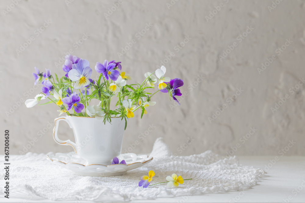 viola flowers in white cup on white background