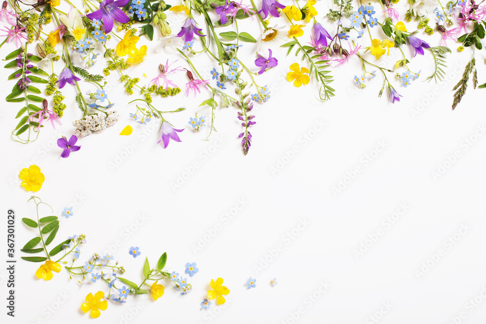 beautiful wild flowers on white background beautiful wild flowers on white background