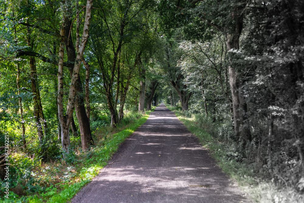 Landscape photos that combine the old and new with a gradient of color in black and white Landscape photos that combine the old and new with a gradient of color in black and white