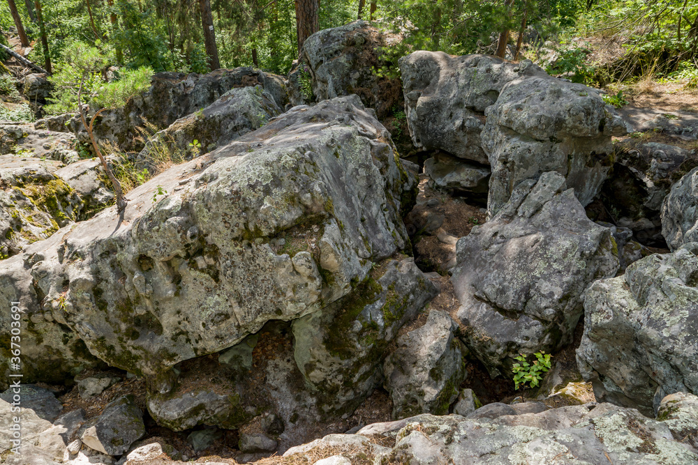 summer, day, journey, sky, expanse, forest, pine, trees, stone, labyrinth, unusual, huge, shapeless, boulders, moss, vegetation, grass, green, foliage, light, shadow, beauty summer, day, journey, sky, expanse, forest, pine, trees, stone, labyrinth, unusual, huge, shapeless, boulders, moss, vegetation, grass, green, foliage, light, shadow, beauty