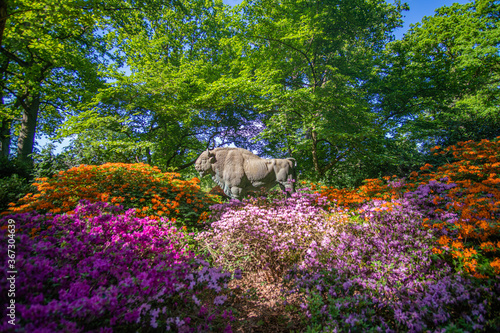 Fototapeta Naklejka Na Ścianę i Meble -  Bull Statue surrounded by beautiful blooming rhododendrons at Park in Bremen