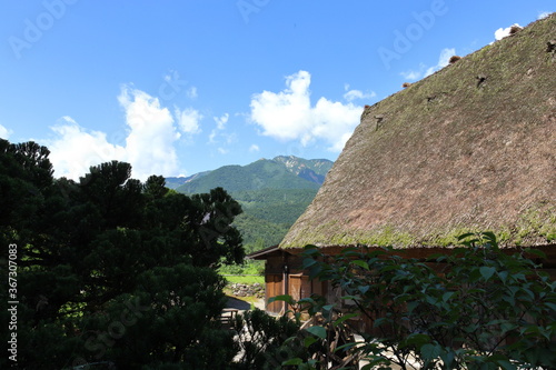 山間地帯にある藁葺屋根の家