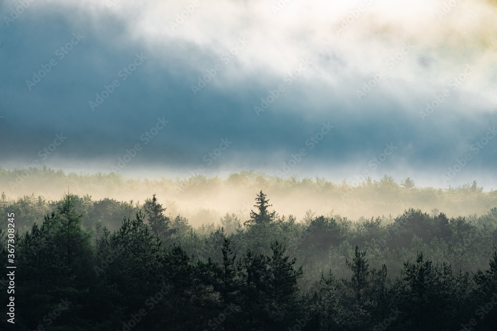 Morgennebel steigt bei Sonnenschein aus einem Bergwald auf Morgennebel steigt bei Sonnenschein aus einem Bergwald auf