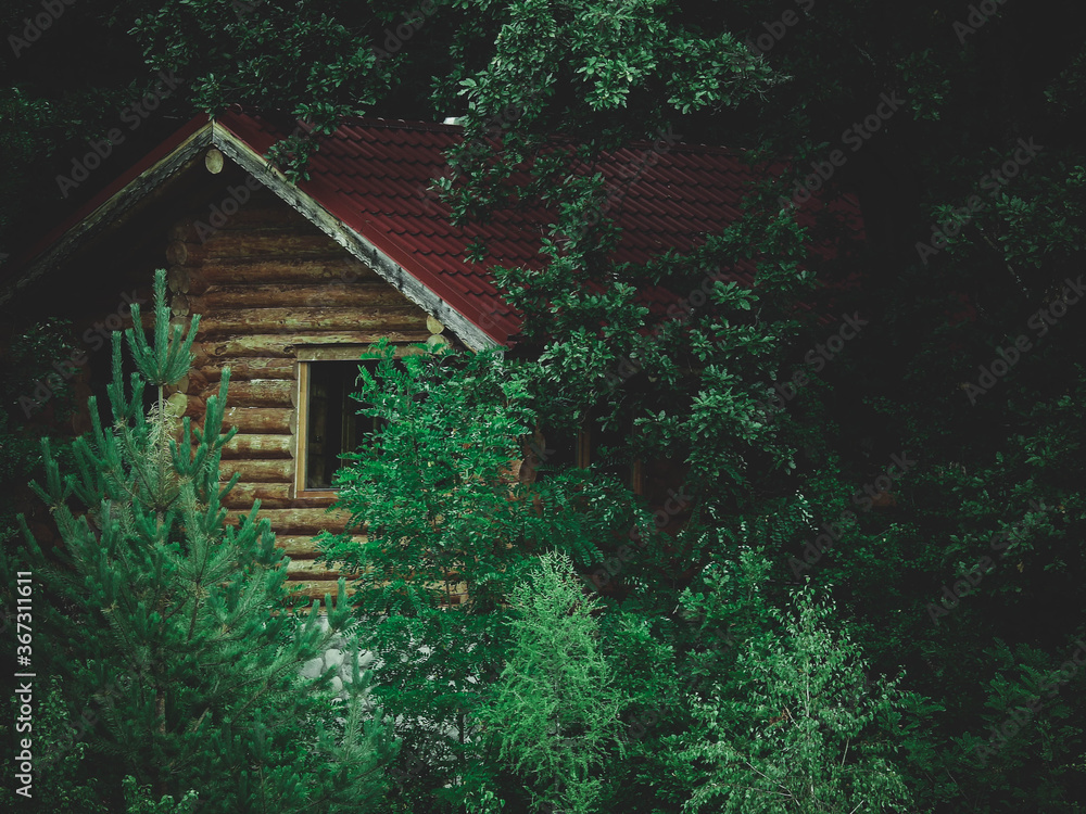 Wood Cabin covered by the forest