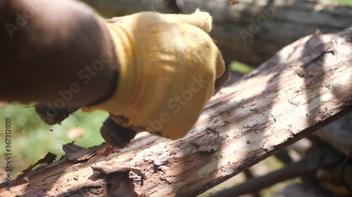 Close-up of man's hand working with woods, ripping off bark outdoor on a sunny day