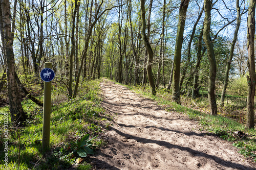 Reitweg durch den Wald photo