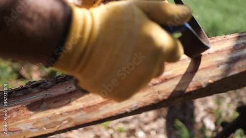 Close-up of man's hand working with woods, ripping off bark outdoor on a sunny day